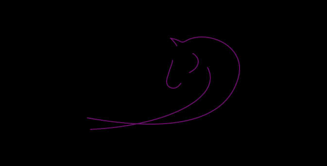 pferd equinova bewegungsapparat